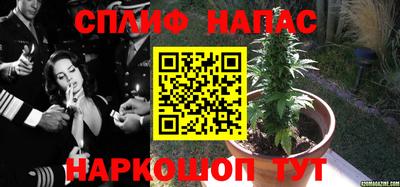 гидропоника Тула