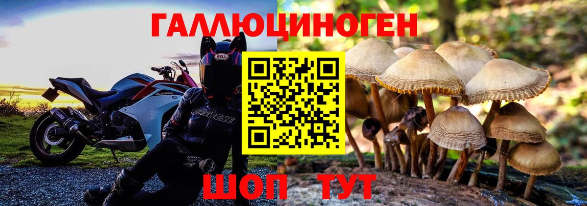 Псилоцибиновые грибы Cubensis Ноябрьск