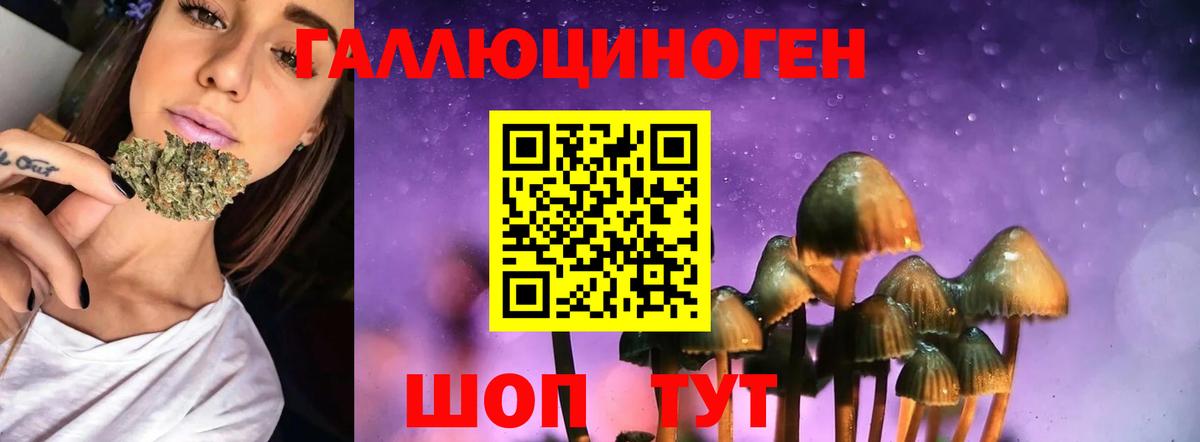 Ноябрьск  Галлюциногенные грибы Psilocybine cubensis  Галлюциногенные грибы Psilocybe  что такое наркотик  Вход с VPN 